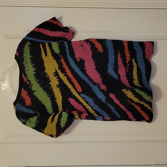 Like New Rainbow Zebra Striped V-Neck T-Shirt - Picture 5 of 5
